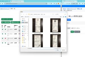 会計データの表示/編集をウェブブラウザでやれるようにする - Python デモ